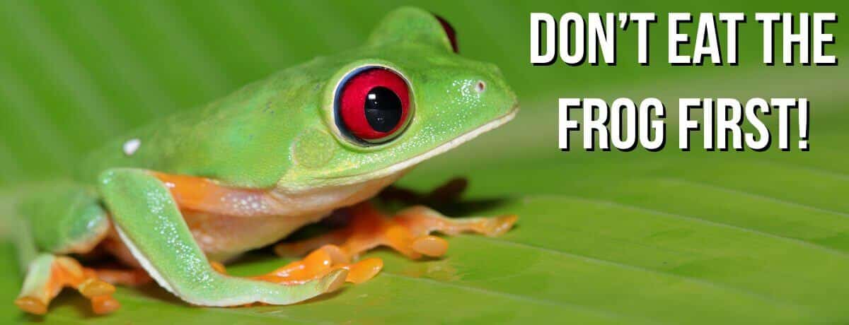 Image of frog sitting on green leaf, looking at the title of the post which is "Don't Eat The Frog First"